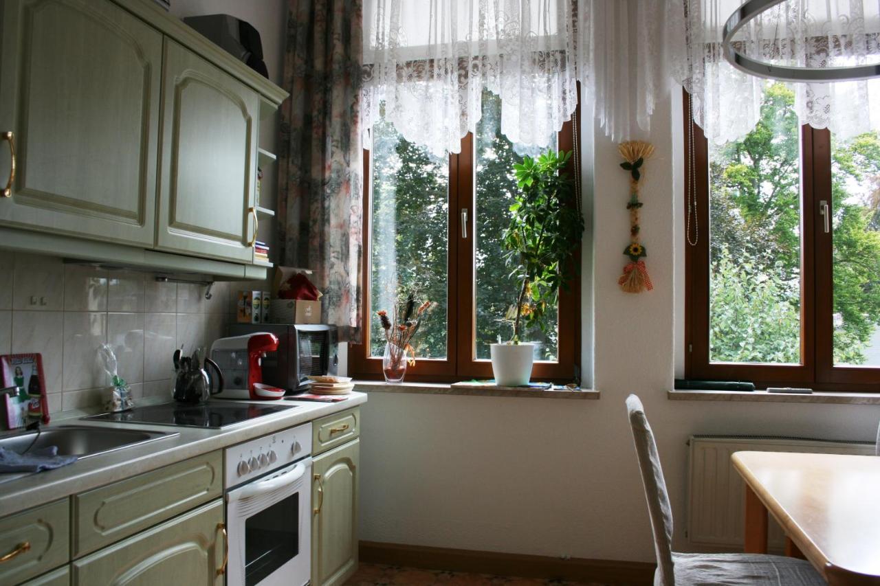 Villa Goeltzschtalblick Netzschkau Extérieur photo